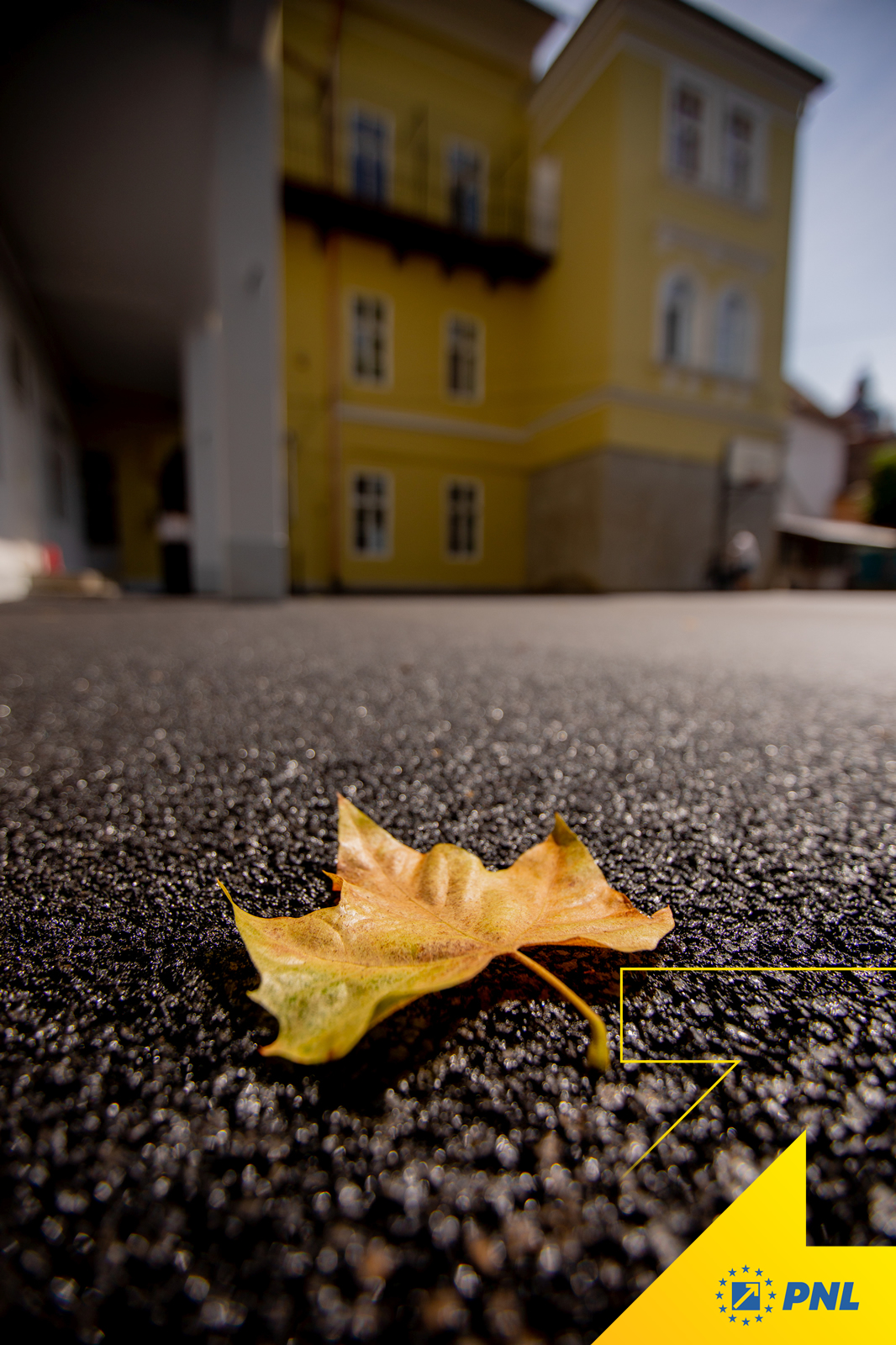 pnl-tg-mures-ce-am-facut-educatie